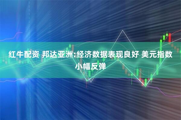 红牛配资 邦达亚洲:经济数据表现良好 美元指数小幅反弹