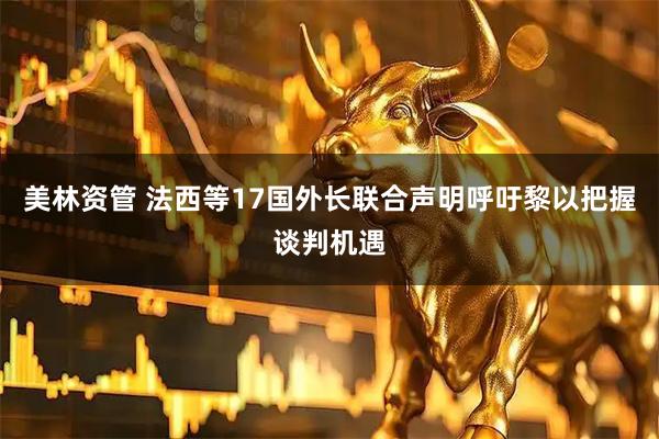 美林资管 法西等17国外长联合声明呼吁黎以把握谈判机遇